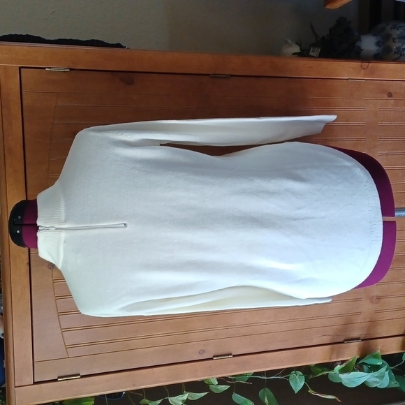 The Tog Shop Turtle Neck Sweater - Picture 5 of 9